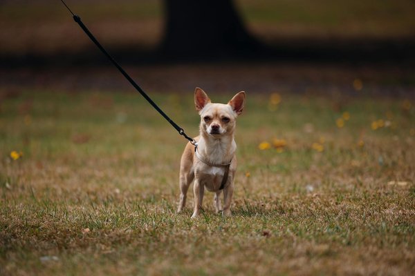 Kreative Ansätze zur Förderung von Innovation in internationalen Forschungsteams
